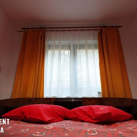 Mariuca Apartament 부스테니 외부 사진