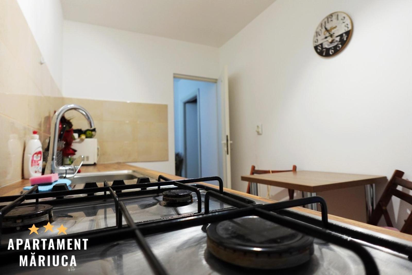 Mariuca Apartament 부스테니 외부 사진