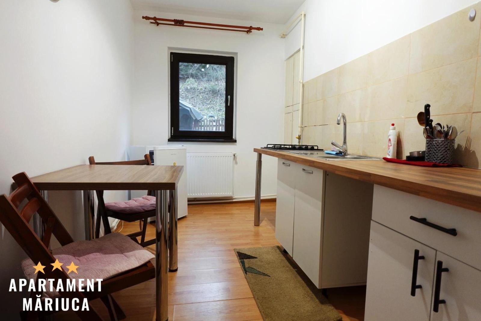 Mariuca Apartament 부스테니 외부 사진